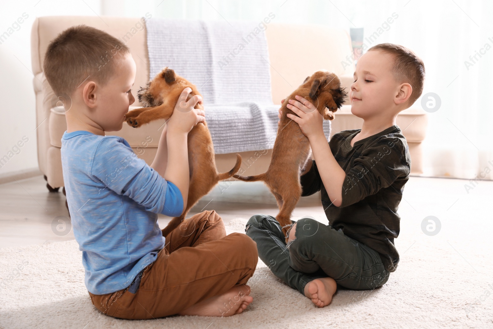 Photo of Portrait of cute boys with funny Brussels Griffon dogs at home. Loyal friends