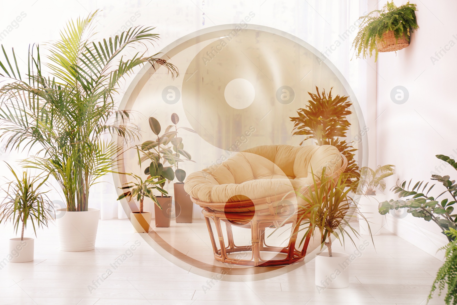 Image of Stylish room interior with beautiful plants and Yin Yang symbol. Feng Shui philosophy 