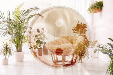 Image of Stylish room interior with beautiful plants and Yin Yang symbol. Feng Shui philosophy 