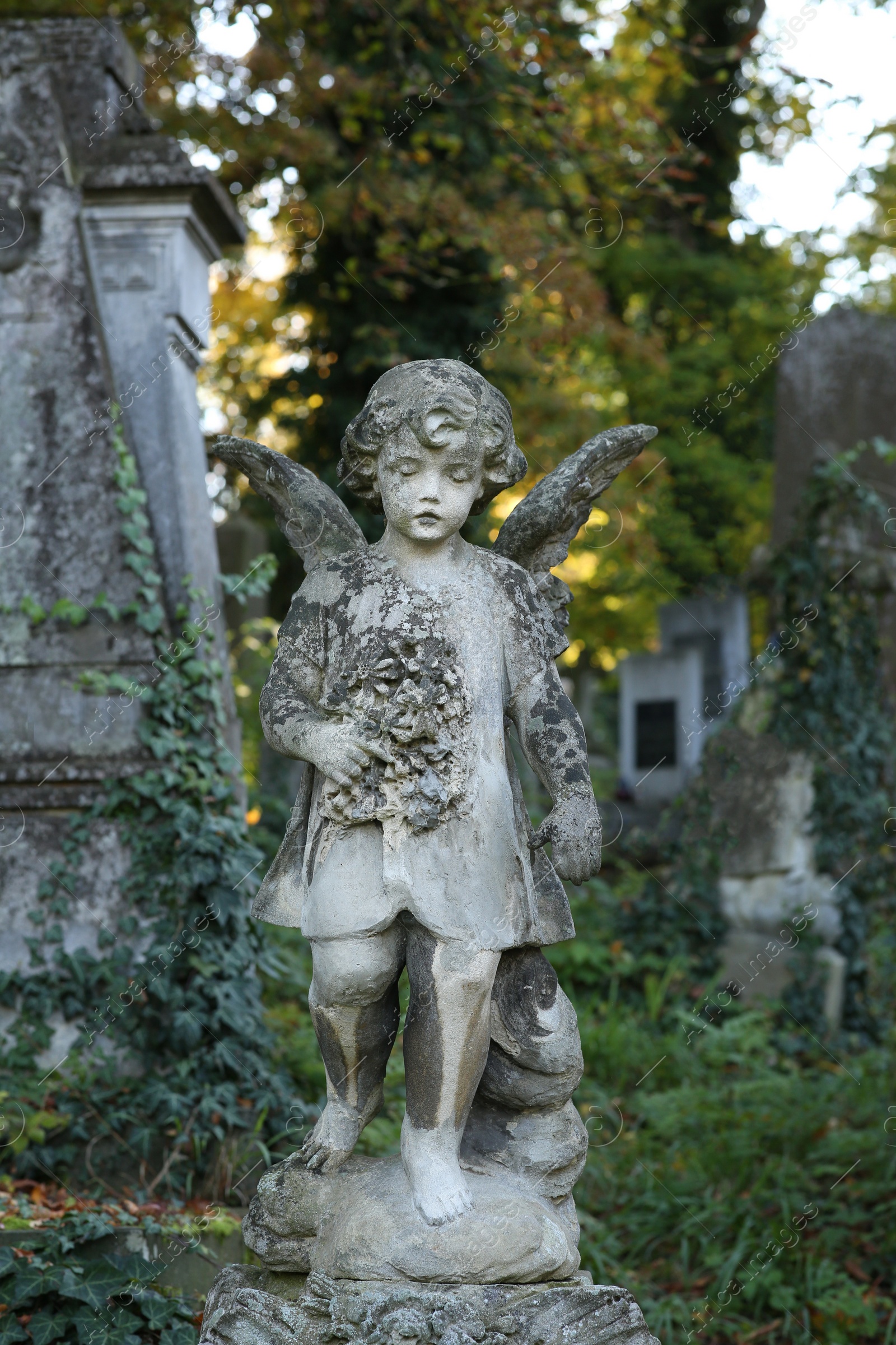 Photo of Beautiful statue of angel at cemetery. Religious symbol