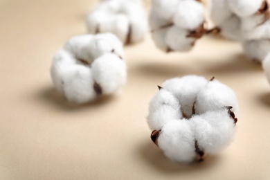 Photo of Fluffy cotton flowers on beige background, closeup