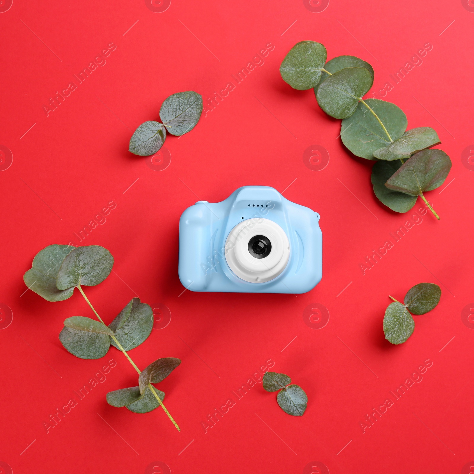 Photo of Toy camera and eucalyptus on red background, top view