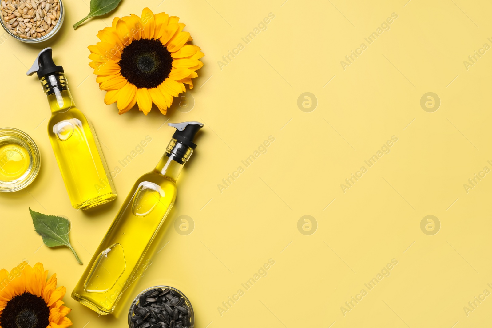 Photo of Flat lay composition with sunflower cooking oil on pale yellow background. Space for text