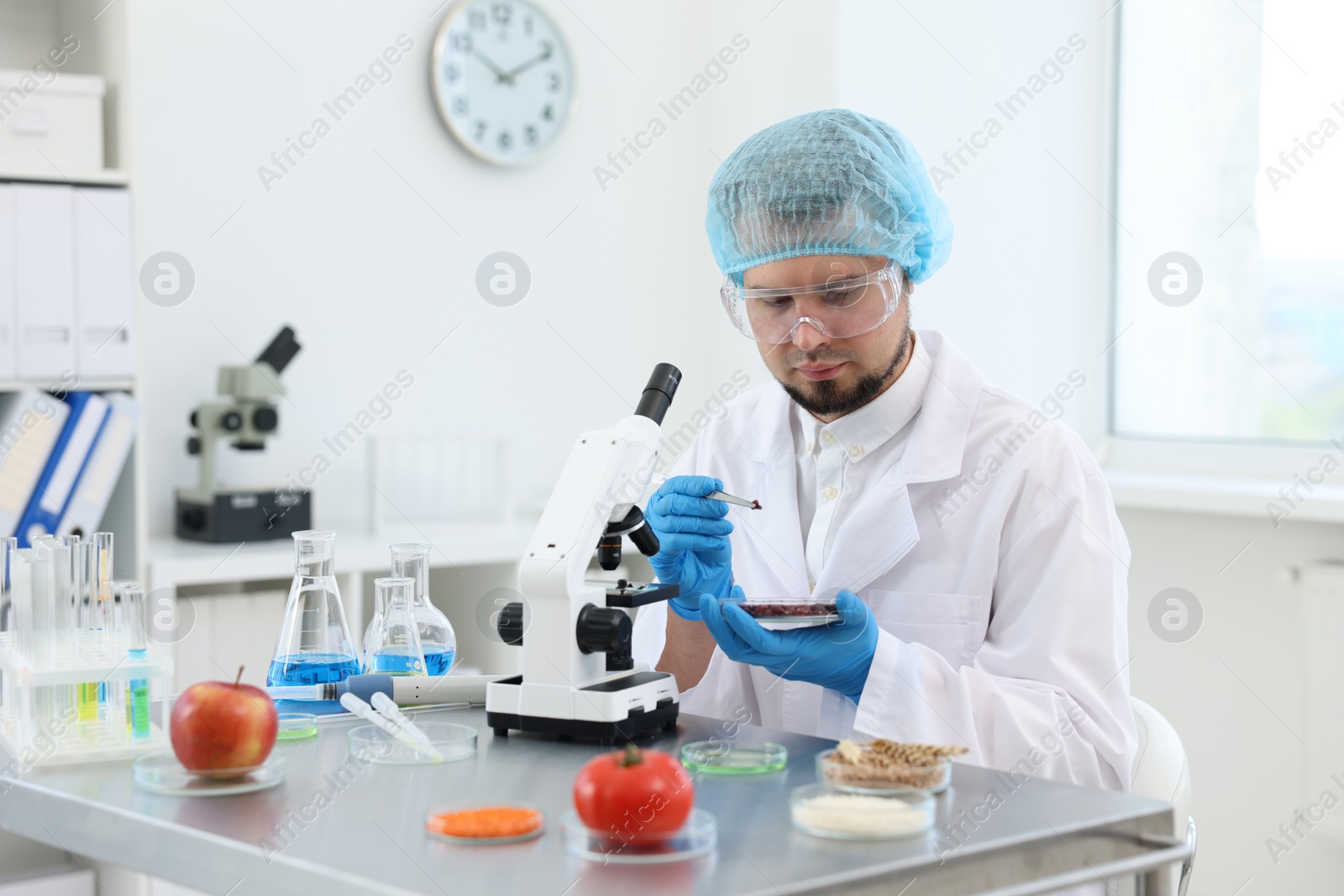 Photo of Quality control. Food inspector checking safety of products in laboratory