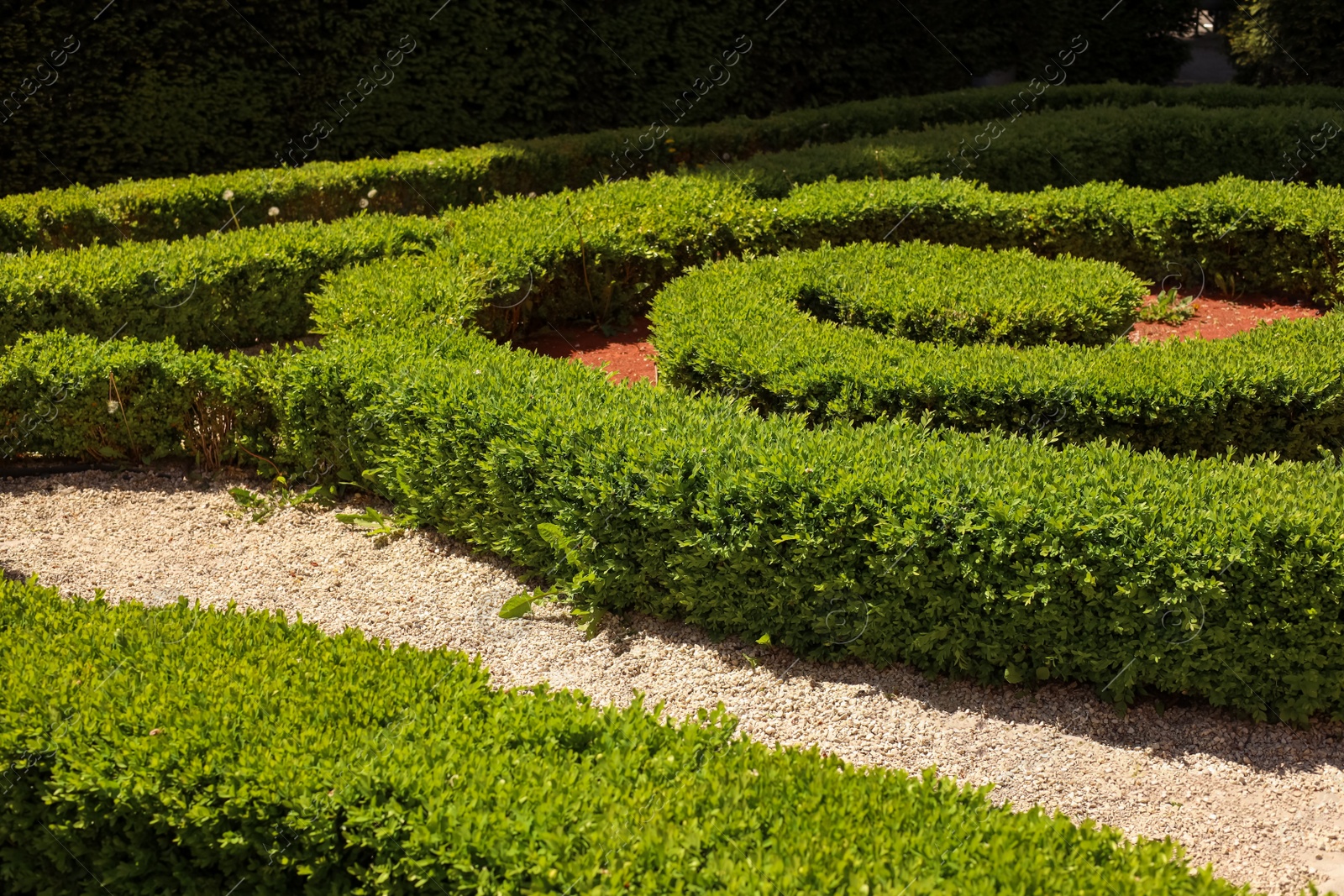 Photo of Beautiful view of green hedge maze on sunny day