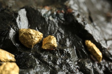 Photo of Shiny gold nuggets on wet stone, closeup. Space for text