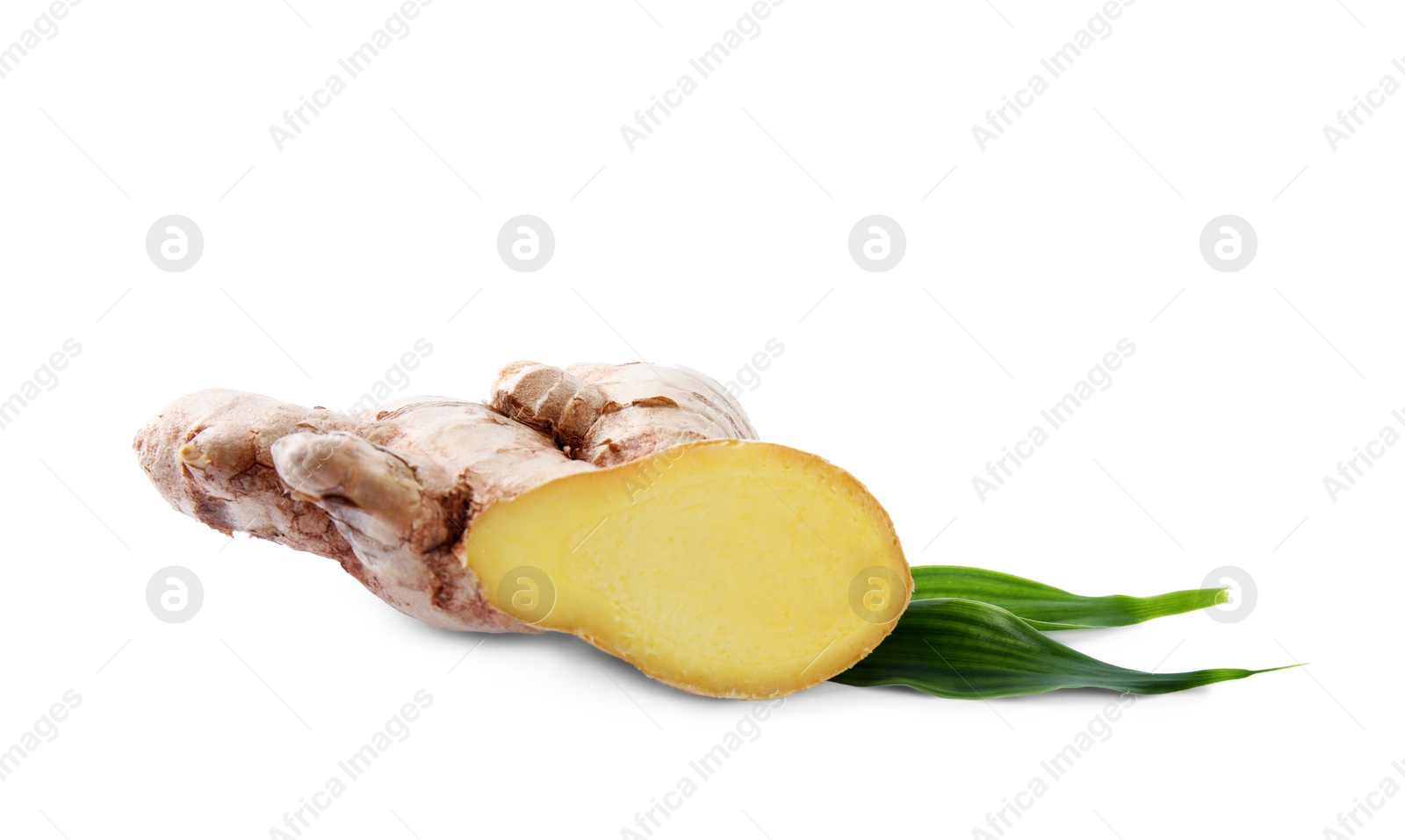 Photo of Cut fresh ginger and leaves isolated on white