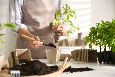 Woman planting tomato seedling into peat pot at table, closeup