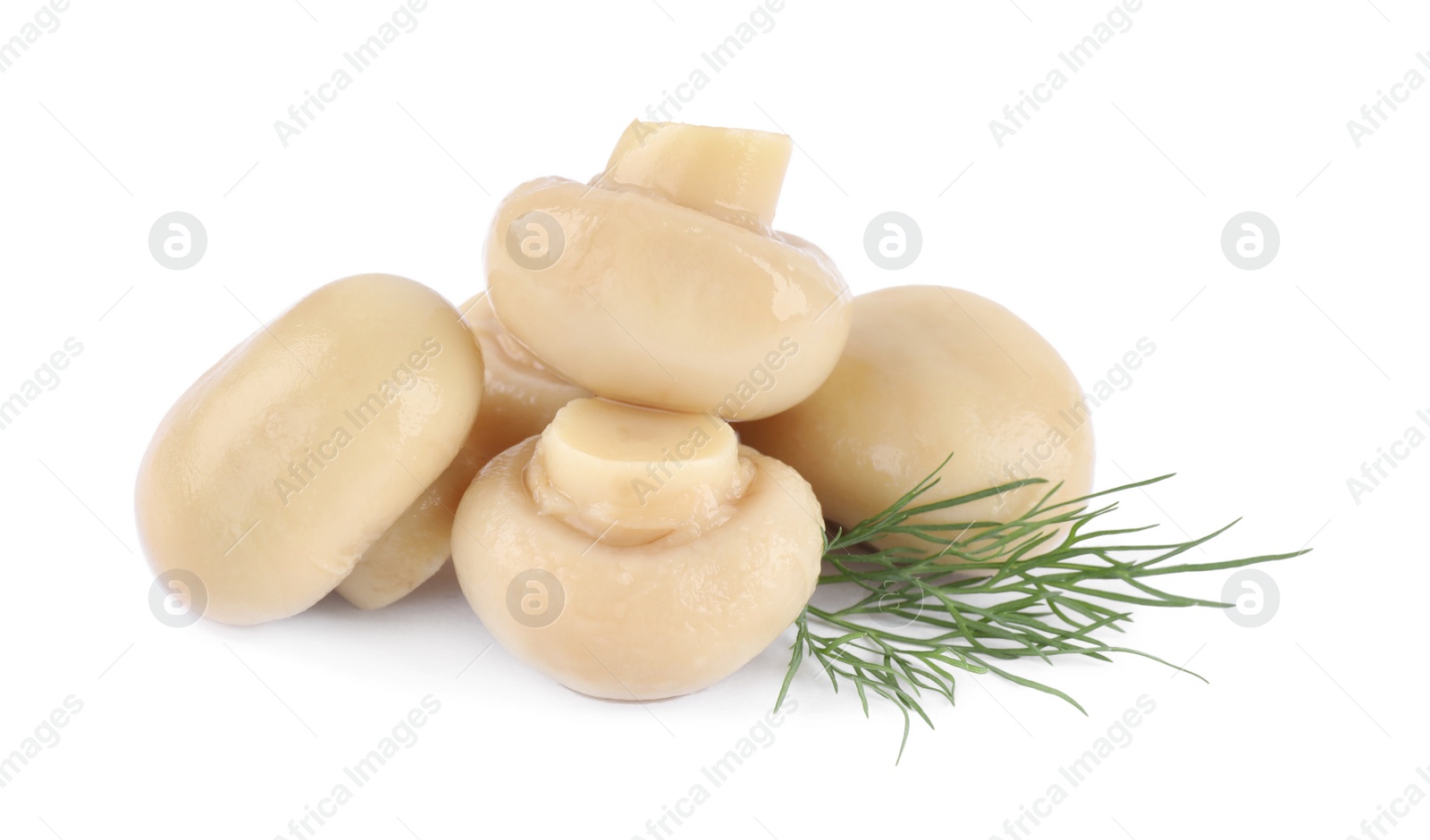 Photo of Delicious marinated mushrooms with dill isolated on white