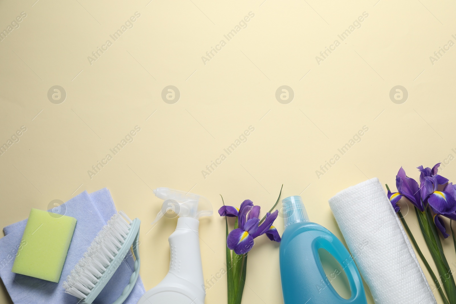 Photo of Spring cleaning. Detergents, flowers, brush, sponge and rag on beige background, flat lay. Space for text