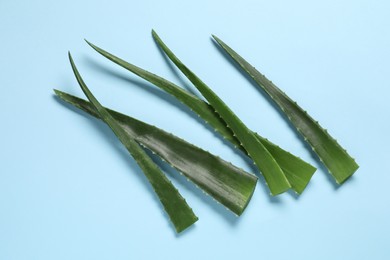 Fresh aloe vera leaves on light blue background, flat lay