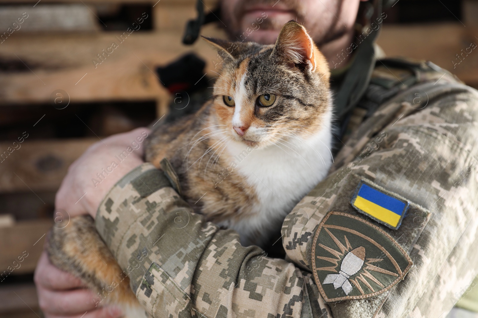 Photo of Ukrainian soldier with stray cat outdoors, closeup