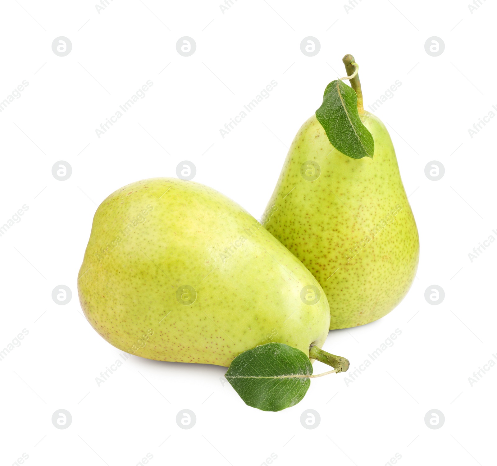 Photo of Tasty ripe pears with leaf on white background