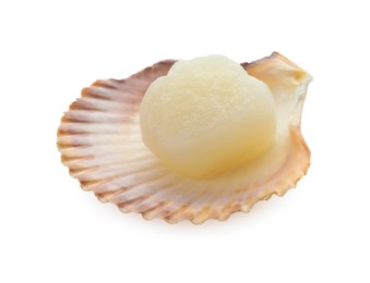 Photo of Fresh raw scallop in shell isolated on white