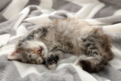 Photo of Cute kitten sleeping on soft blanket. Baby animal