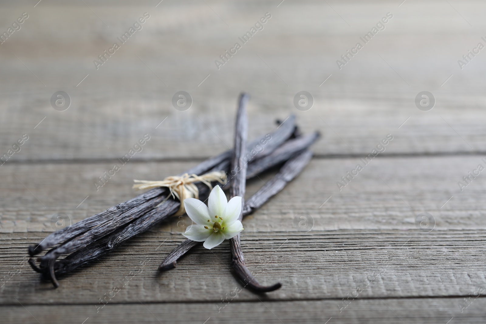 Photo of Vanilla pods and flower on wooden table, closeup. Space for text