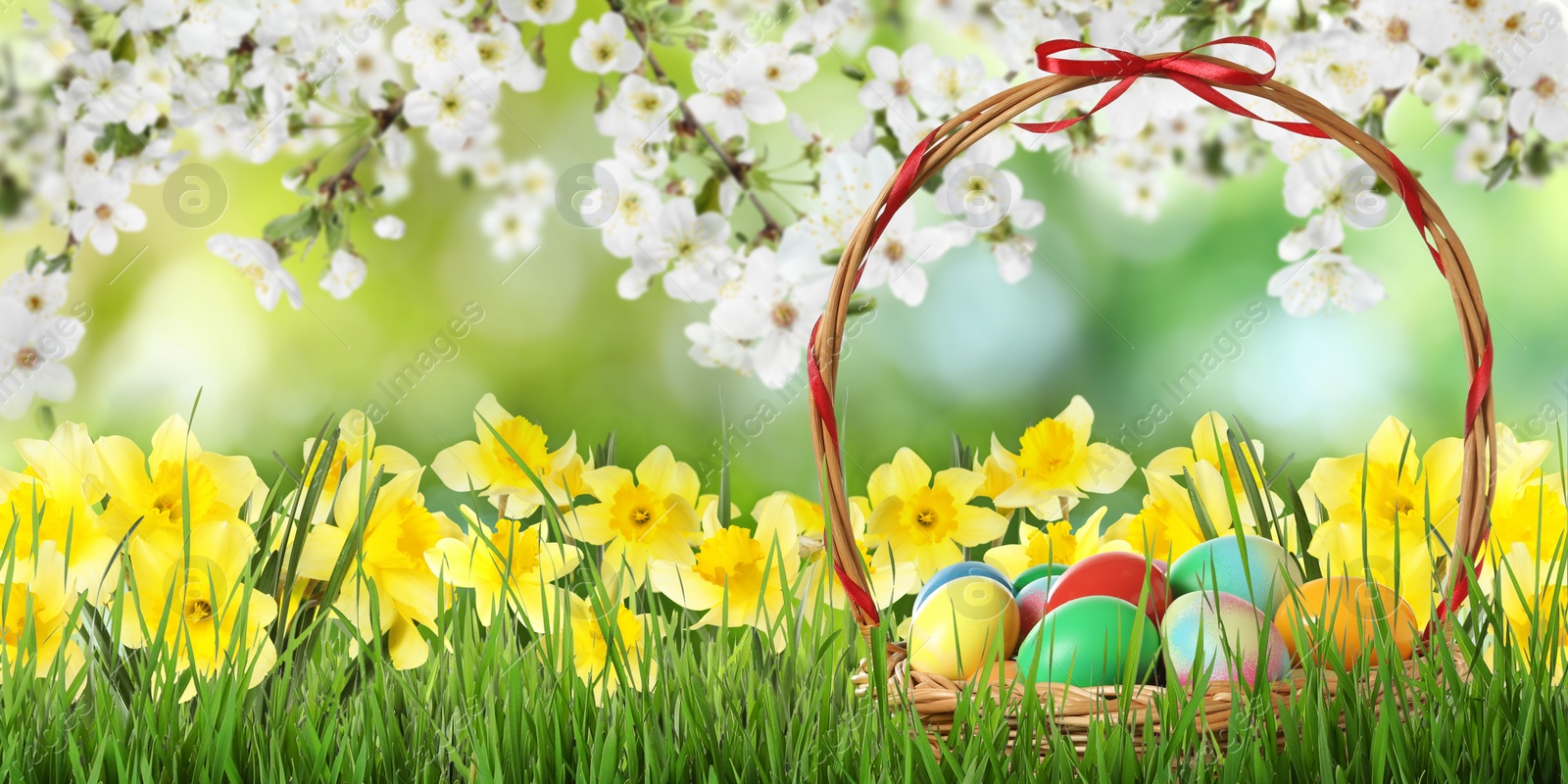 Image of Wicker basket with Easter eggs on green grass outdoors, banner design