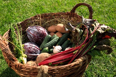 Photo of Different fresh ripe vegetables in wicker basket on green grass