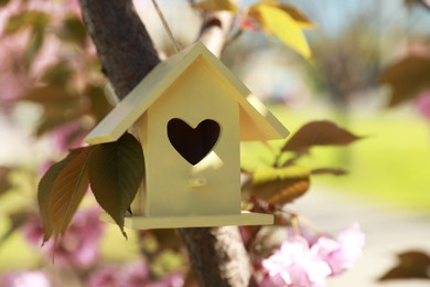 Yellow bird house with heart shaped hole hanging on tree branch outdoors