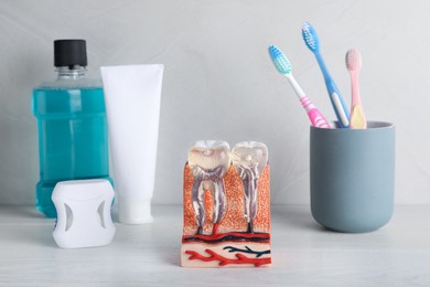 Photo of Model of jaw section with teeth near oral care products on white wooden table