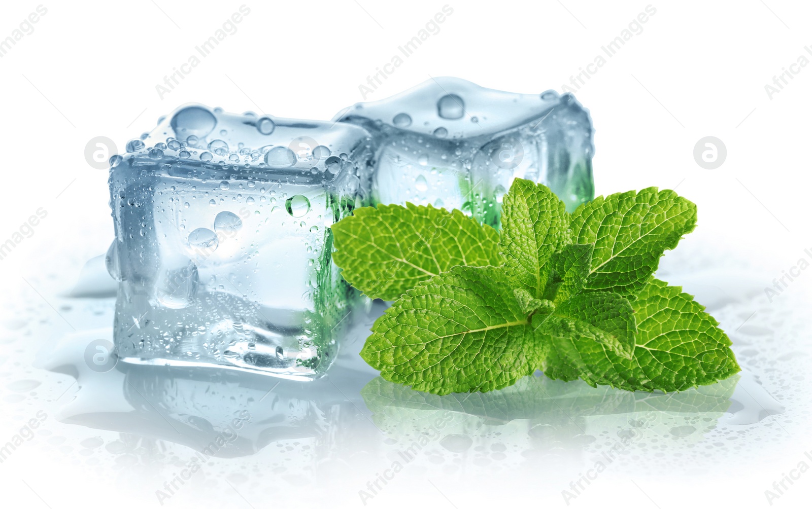 Image of Green mint and ice cubes isolated on white