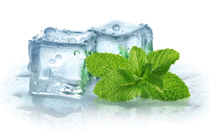 Green mint and ice cubes isolated on white