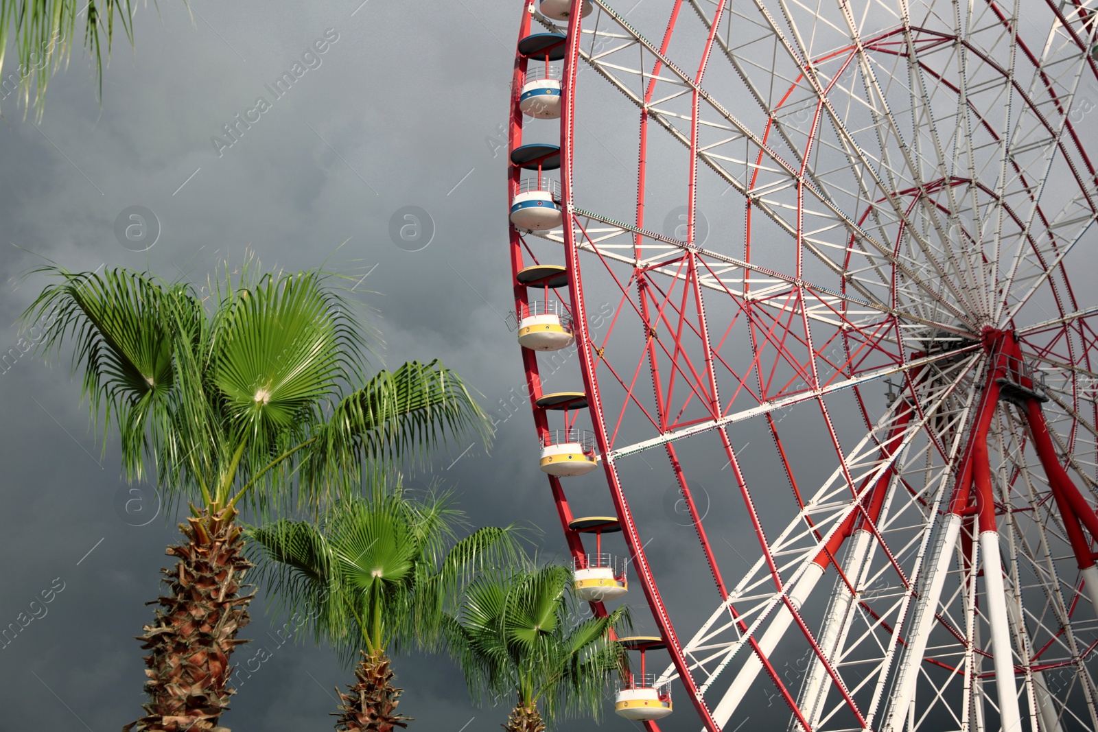 Photo of Beautiful large Ferris wheel and palms against heavy rainy sky outdoors