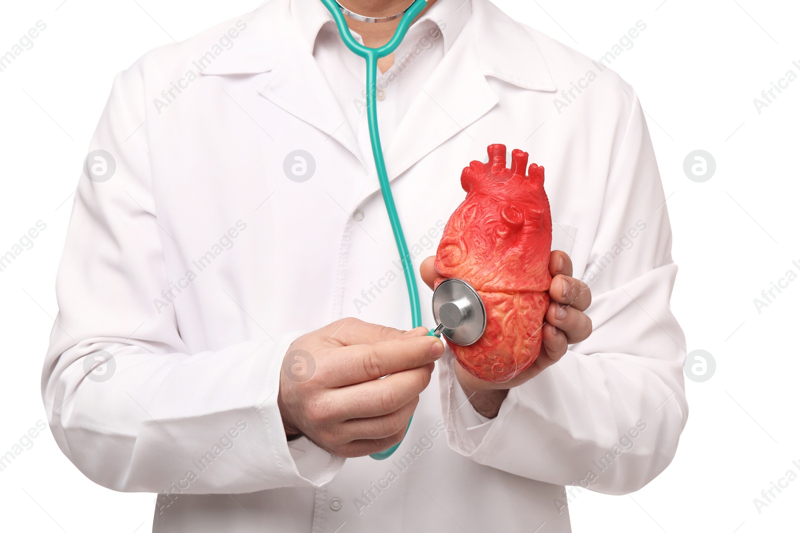 Photo of Doctor with stethoscope and model of heart on white background, closeup. Cardiology concept