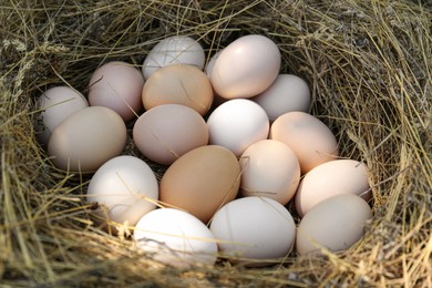 Photo of Fresh raw chicken eggs in nest, closeup