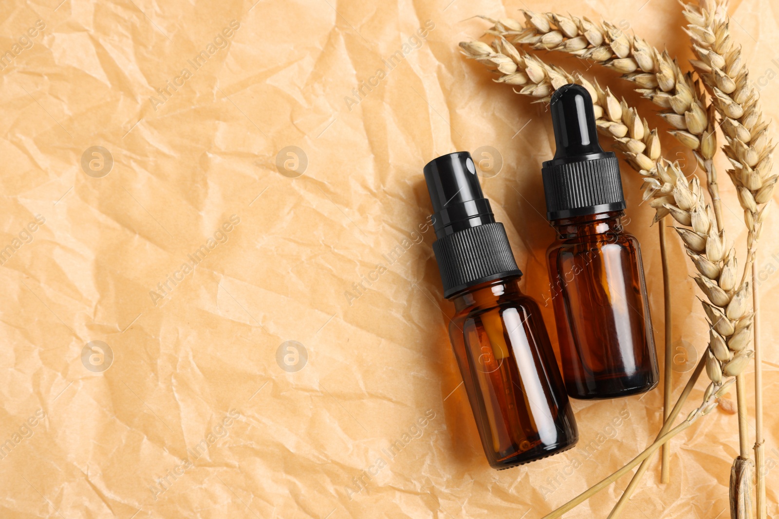 Photo of Bottles with organic cosmetic products and ears of wheat on parchment paper, flat lay. Space for text