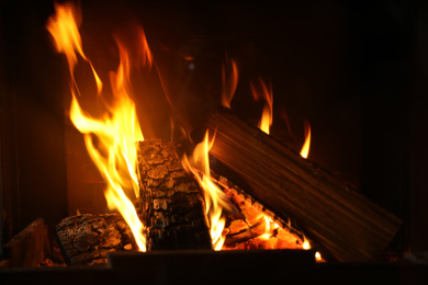 Fireplace with burning wood, closeup view. Winter vacation
