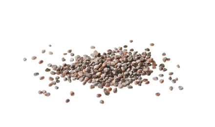 Pile of raw radish seeds on white background. Vegetable planting