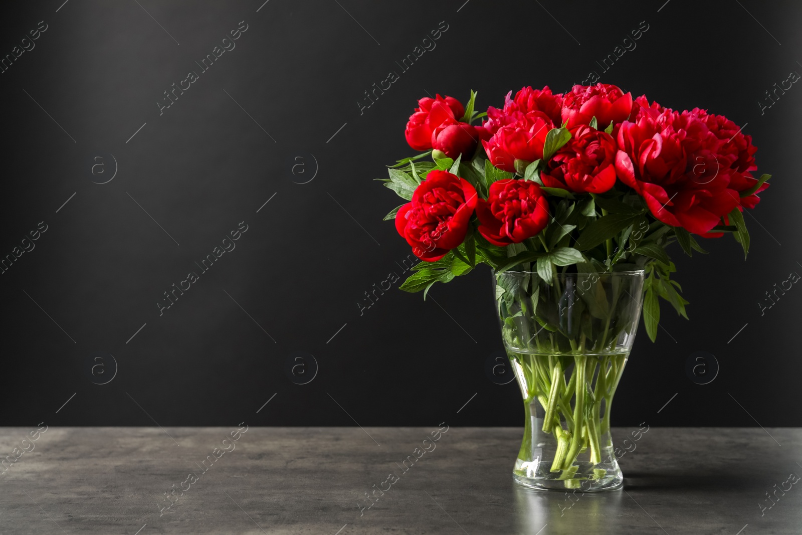 Photo of Vase with beautiful blooming peonies on table against black background