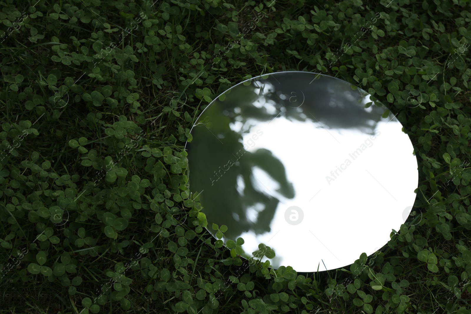 Photo of Round mirror among clovers reflecting tree and sky. Space for text