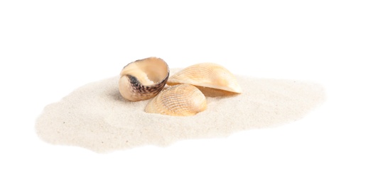 Photo of Pile of beach sand with sea shells on white background