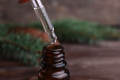 Photo of Dripping pine essential oil into bottle at wooden table, closeup