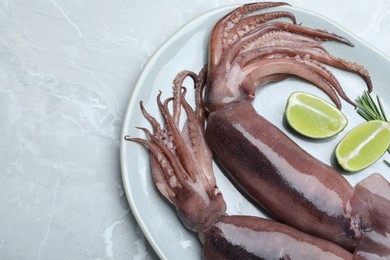 Photo of Fresh raw squids with lime and rosemary on light marble table, top view. Space for text