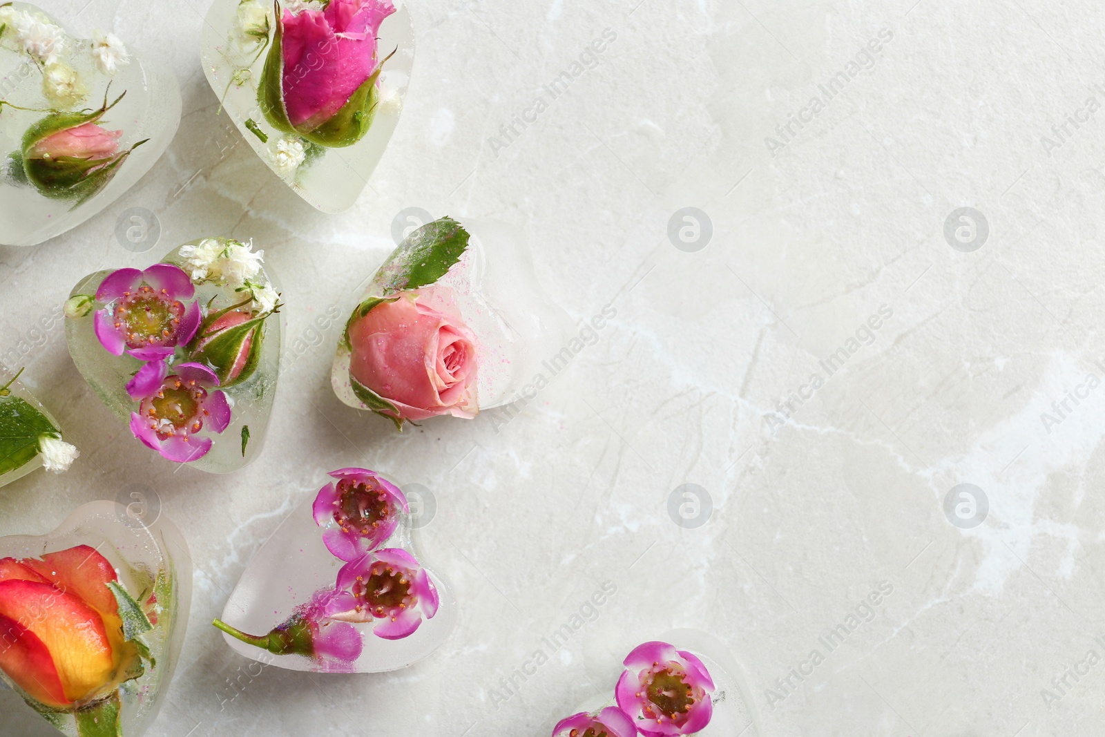 Photo of Heart shaped floral ice cubes on color background, top view. Space for text