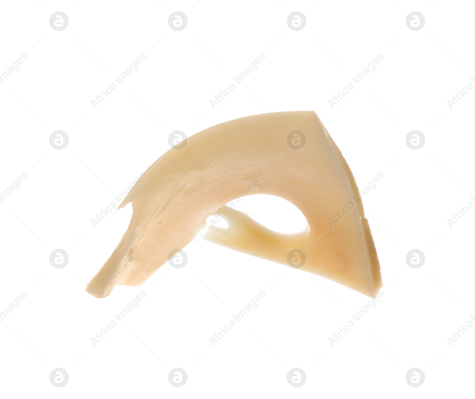 Photo of Piece of tasty cheese isolated on white