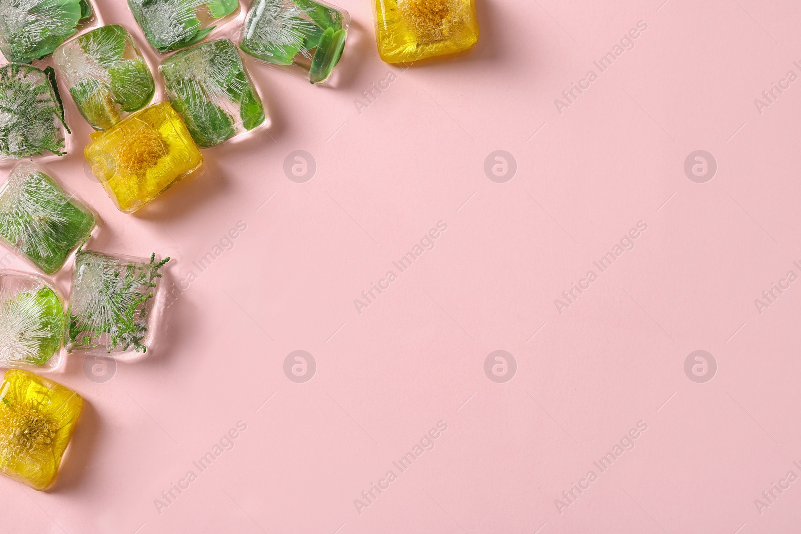Photo of Ice cubes with flowers and leaves on pink background, flat lay. Space for text