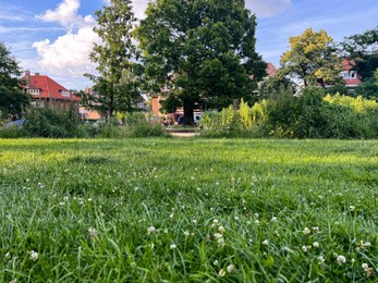 Picturesque view of beautiful park with fresh green grass and trees on sunny day