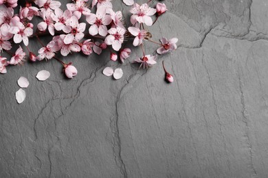 Photo of Blossoming spring tree branch on black slate table, flat lay. Space for text