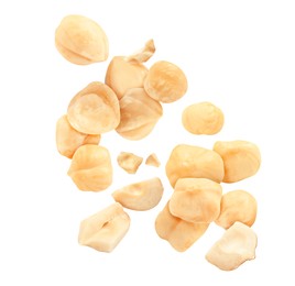 Image of Pieces of tasty hazelnuts falling on white background