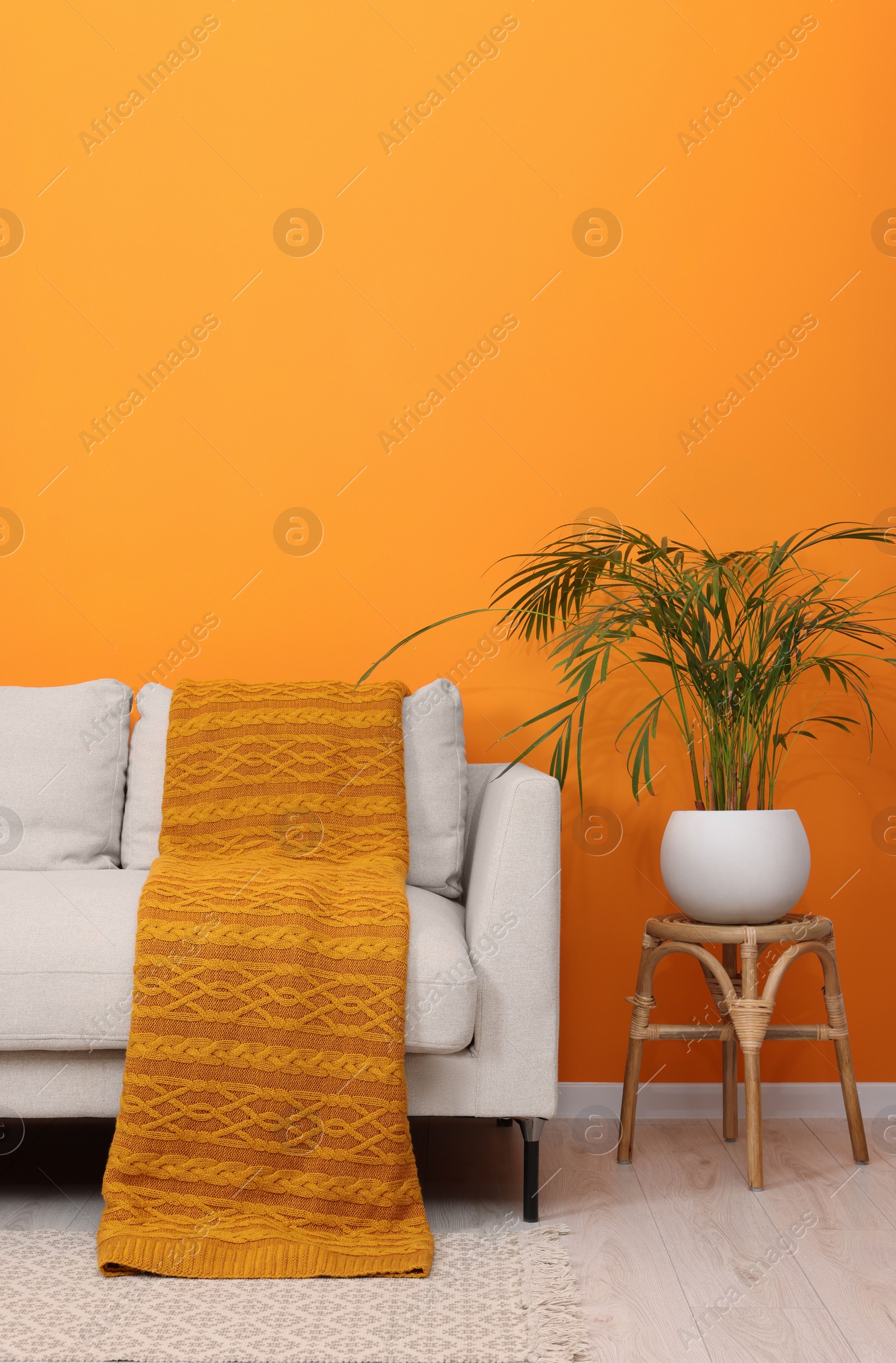 Photo of Comfortable sofa with orange blanket and houseplant indoors. Interior design