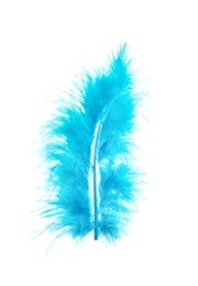 Photo of Beautiful light blue feather isolated on white
