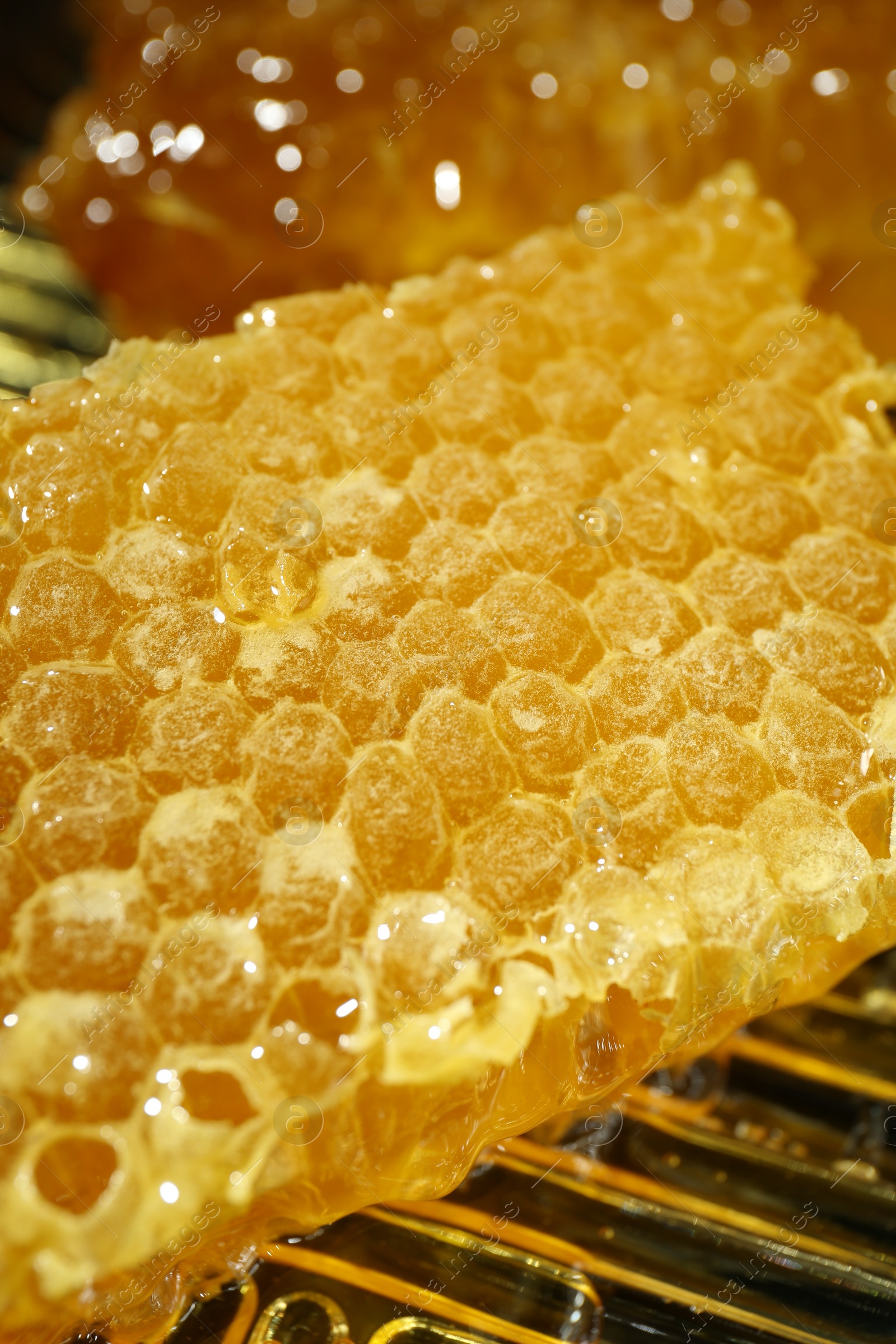 Photo of Natural honeycomb with tasty honey in plastic container, closeup