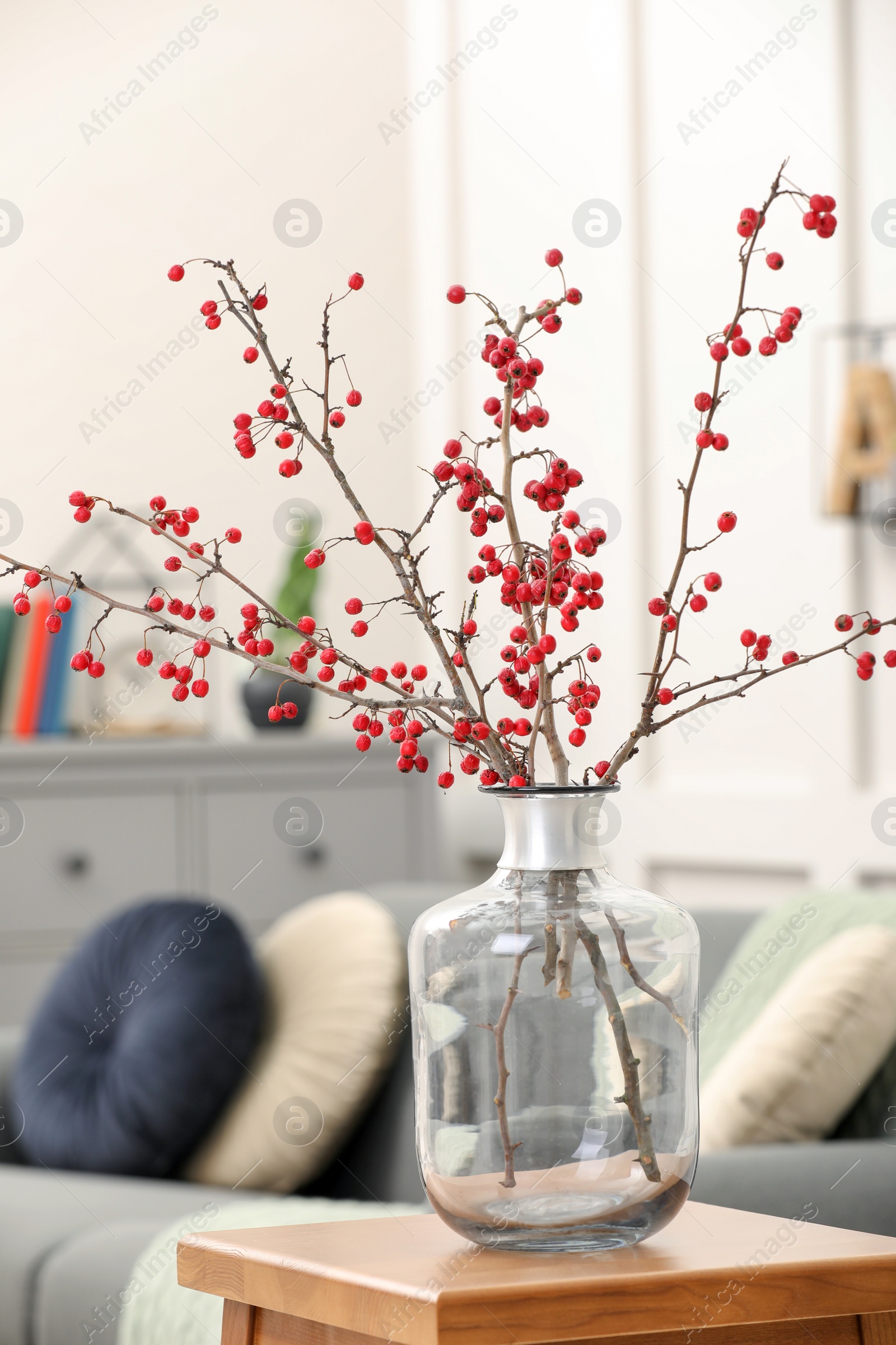 Photo of Hawthorn branches with red berries on wooden table in living room