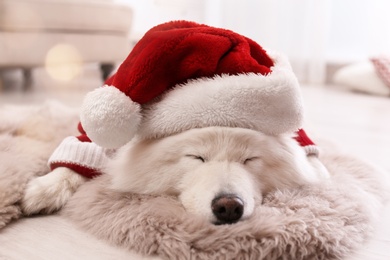 Cute dog in warm sweater and Christmas hat on floor at home