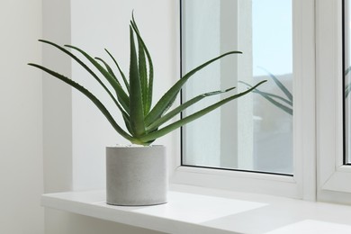 Photo of Beautiful potted aloe vera plant on windowsill indoors