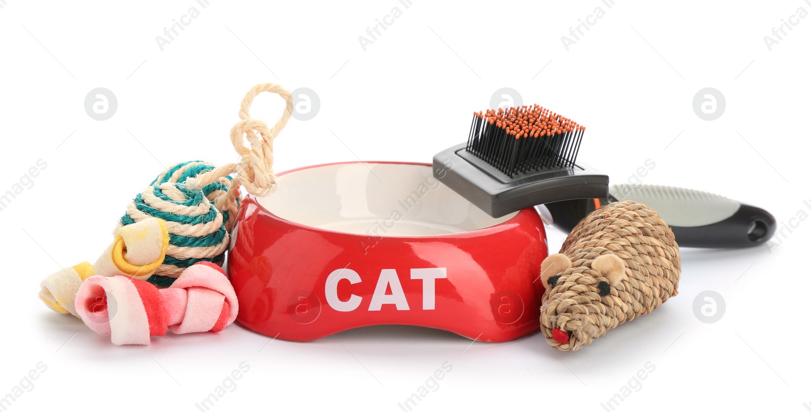 Photo of Cat's accessories on white background